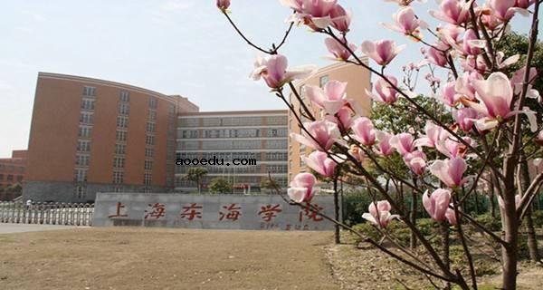 2018上海十大专科学校排名 高职可以考哪些大学