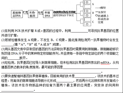 2018山东高考理综模拟试题及答案