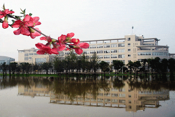 四川大学宿舍怎么样