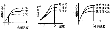 高中生物光合作用的基本过程