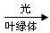 高中生物光合作用的基本过程