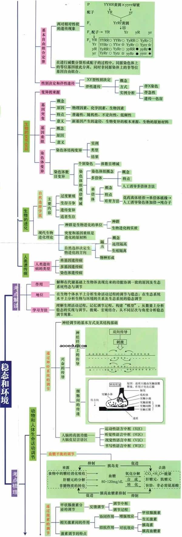 高中生物必考知识框架图