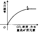 高中生物光合作用的基本过程