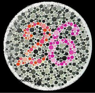 高考体检色弱色盲测试图 体检色弱色盲图谱