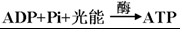 高中生物光合作用的基本过程