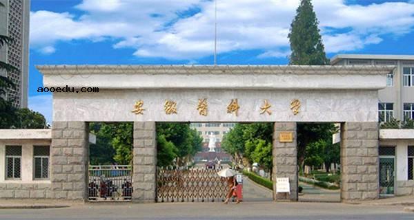 安徽省二本大学有哪些 2018最新二本高校名单