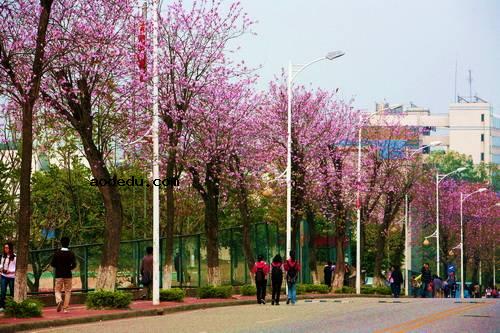 华南农业大学宿舍怎么样 住宿条件好不好