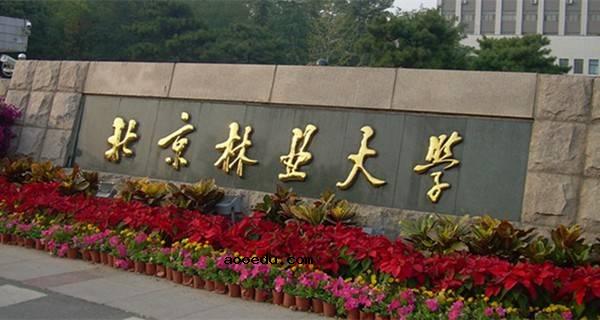 北京林业大学有几个校区及校区地址