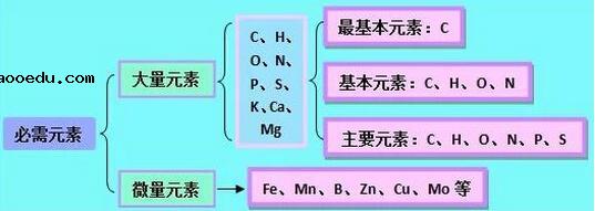 高中生物知识结构图