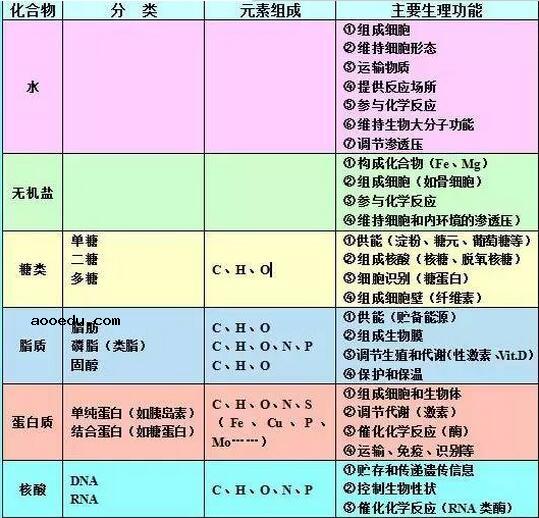 高中生物知识结构图