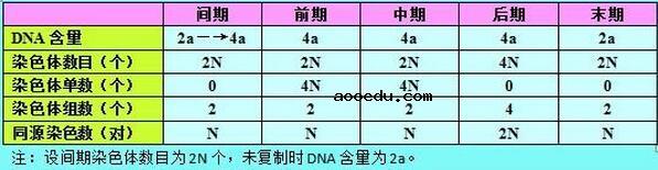 高中生物知识结构图