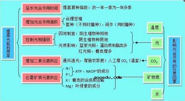 高中生物知识结构图