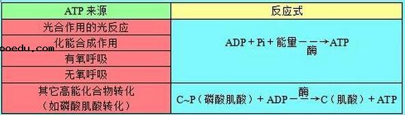 高中生物知识结构图