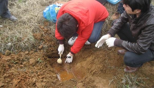 河北地质大学专业排名 最好的专业有哪些