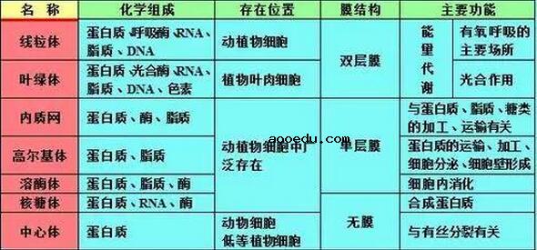 高中生物知识结构图