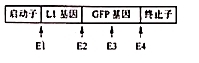 2018宁夏高考理综试题【Word试卷】