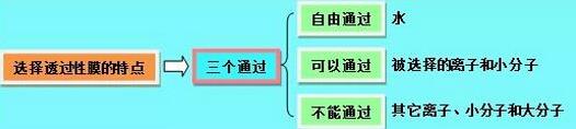 高中生物知识结构图