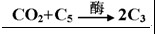 高中生物光合作用的基本过程