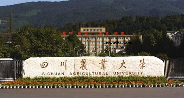 四川农业大学有几个校区及校区地址