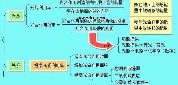 高中生物知识结构图