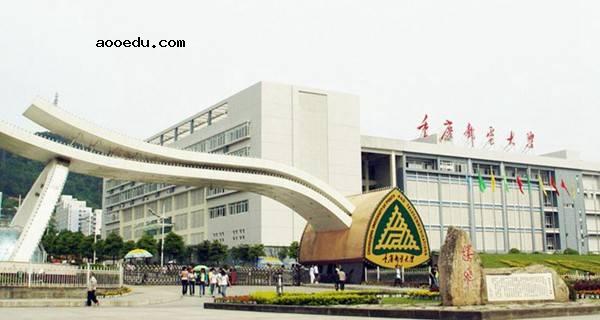 重庆市二本大学有哪些 2021最新二本高校名单