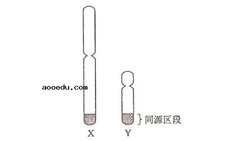 2018河南高考理综冲刺压轴卷及答案