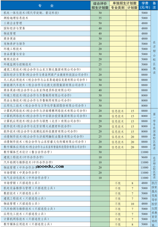 2020年山东科技职业学院分类考试招生计划及专业