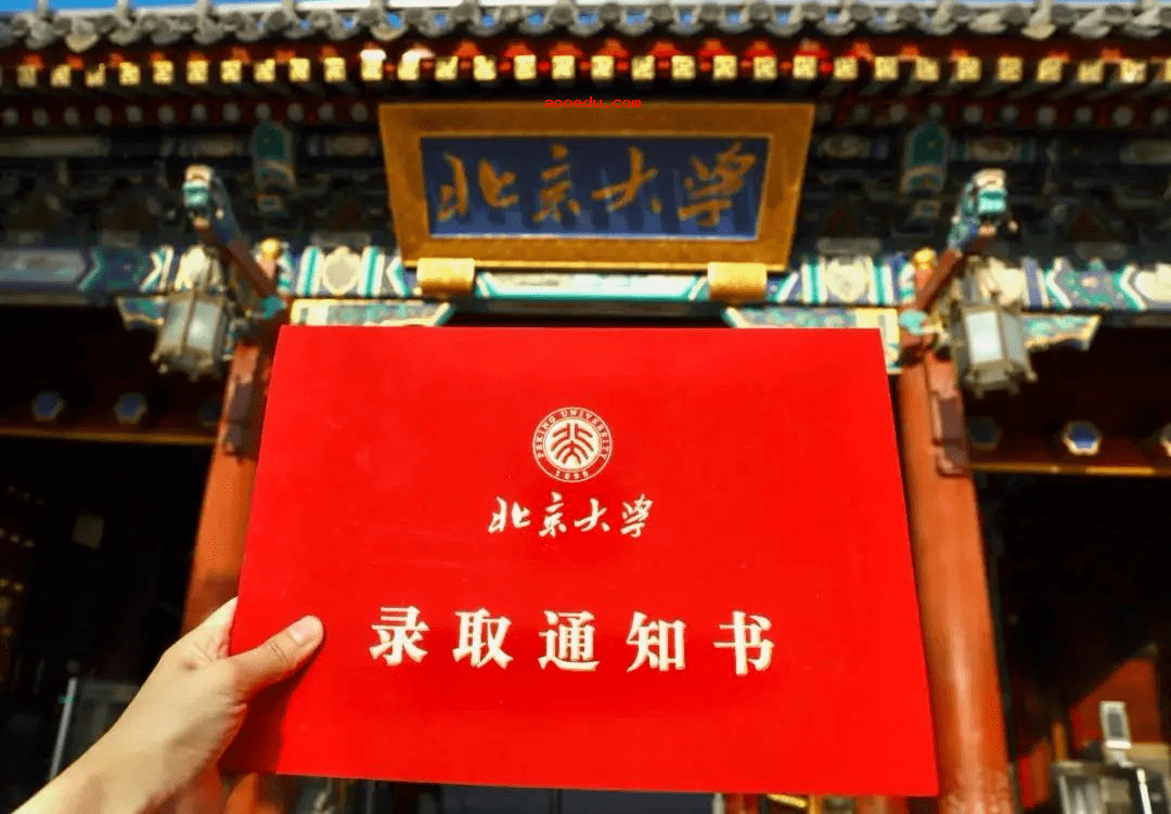 2020上海高校通知书出校徽盲盒