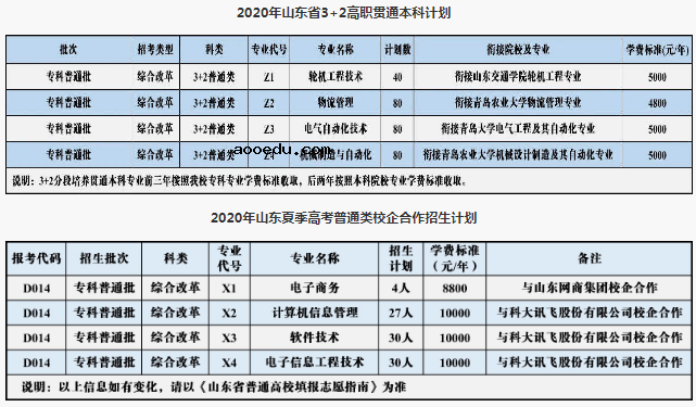 2020年青岛港湾职业技术学院招生专业及学费