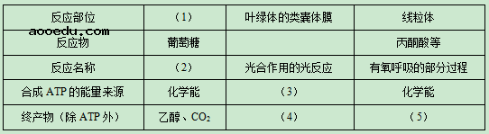 2020广西高考理综试题