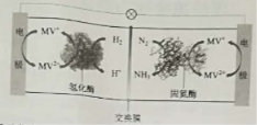 2019河北高考理综试题【word精校版】