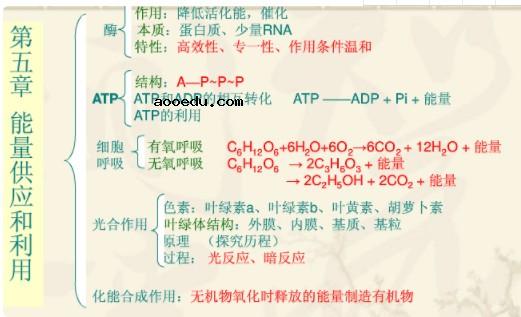 生物必修一知识网状图 高中生物思维导图大全