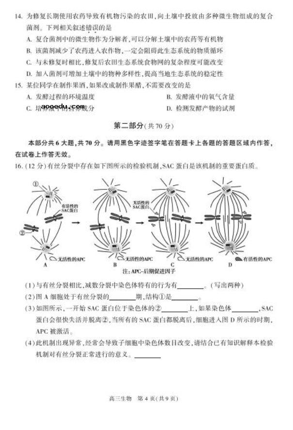 2020北京朝阳高三生物一模试题