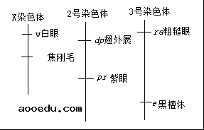 2019全国1卷高考理综试题【word精校版】