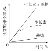 2020广西高考理综试题