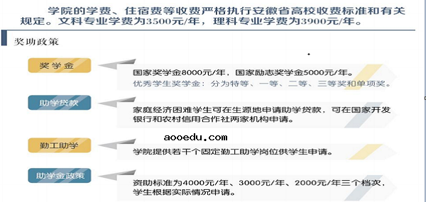 黄山职业技术学院2020年分类招生专业