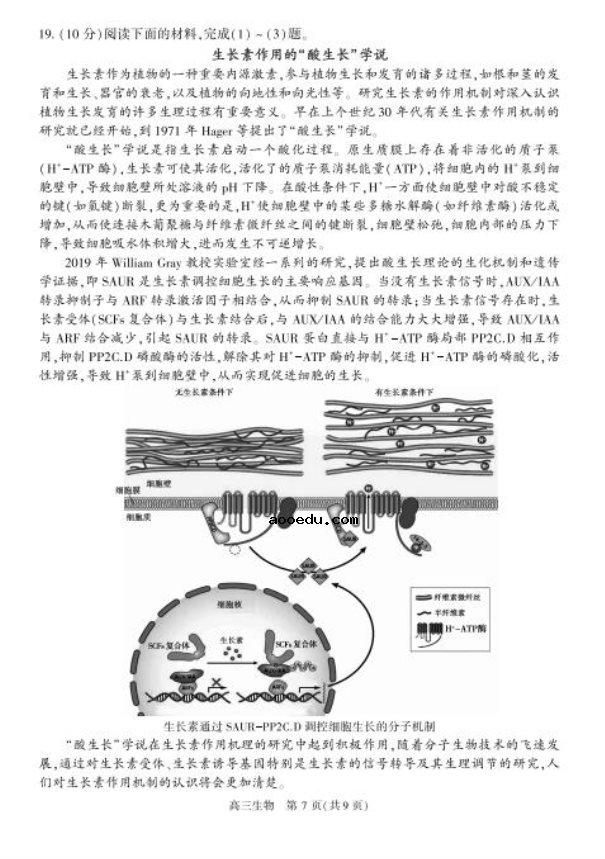 2020北京朝阳高三生物一模试题