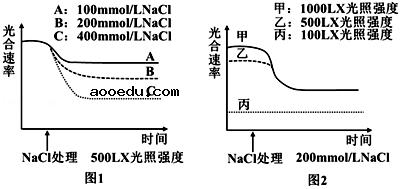 2020年内蒙古赤峰生物高考4月模拟试题