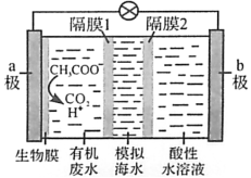 2020年山东新高考全国1卷化学试题