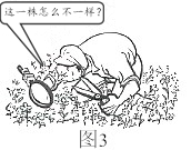 2019江苏高考政治试题及答案【word真题试卷】