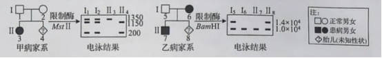 2020年山东新高考全国1卷生物试题