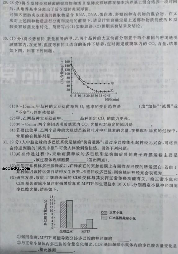 2021全国100所名校卷【含答案】