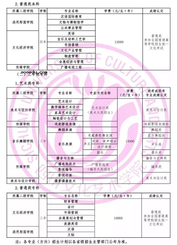 四川文化艺术学院2019年省外招生简章