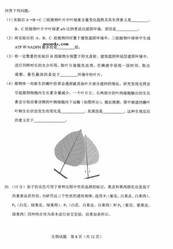 2021河北八省联考生物试卷及答案解析