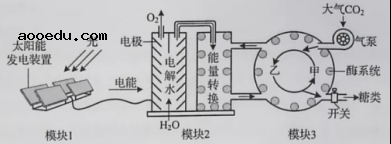 2020年山东新高考全国1卷生物试题