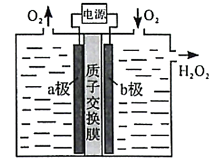 2020年山东新高考全国1卷化学试题及答案