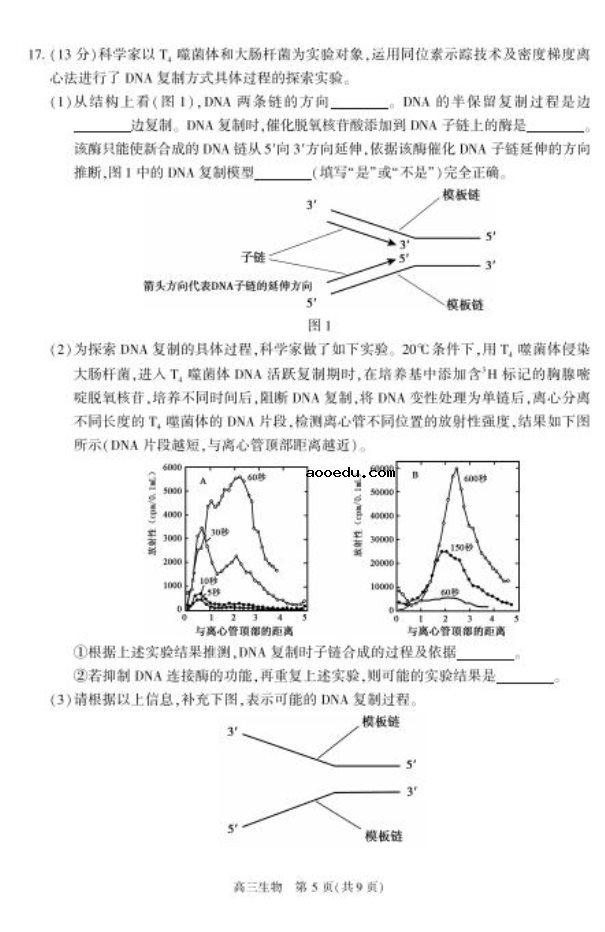 2020北京朝阳高三生物一模试题