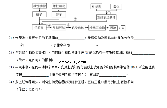 2020西藏高考理综试卷