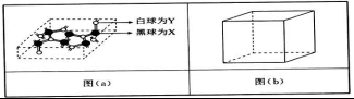 衡水金卷2021年高考模拟押题卷理综试题