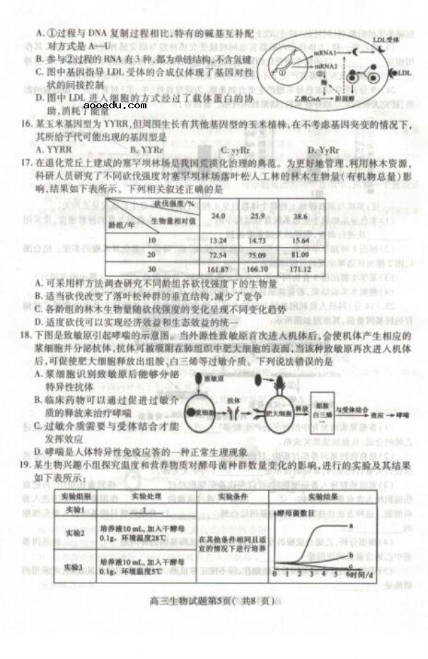 2020届山东省高三生物5月高考模拟试题